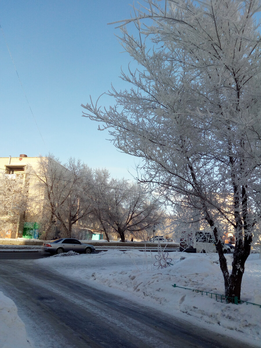 У нас в Барнауле сегодня КРАСОТА КРАСИИИВАЯ! ИНЕЙ на деревьях сказочный. Это Северо-Западная улица. Где-то на другой стороне в ОZONе  дочка с внуком и дедушкой и получили сегодня коробки с домиками ЛЕСОВИЧОК.