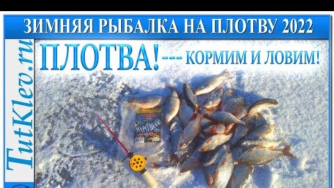 Ловля плотвы зимой на мормышку. зимняя рыбалка 2021│видео