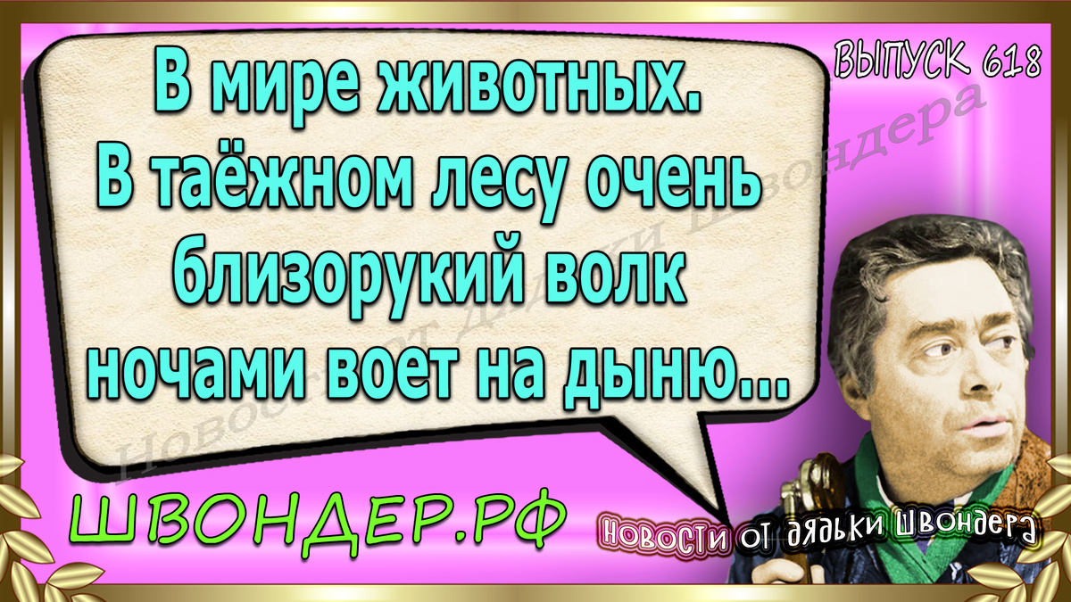 Картинка с сайта швондер.рф