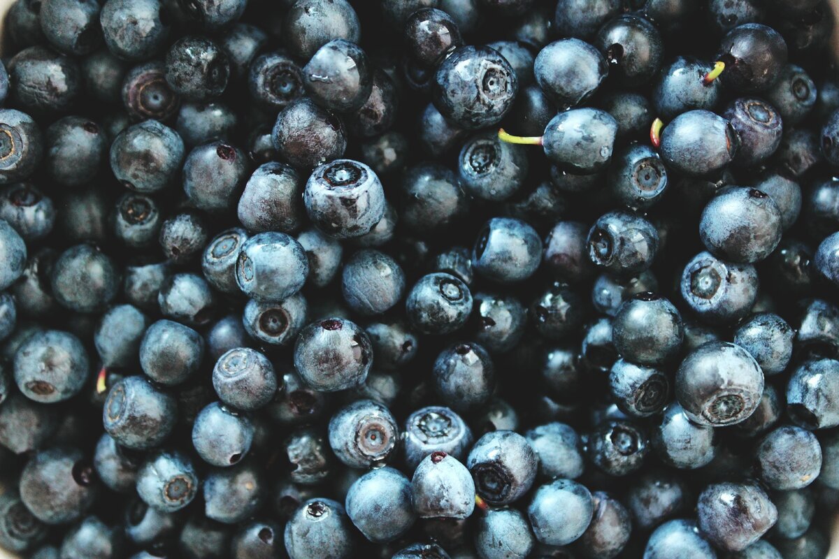 Черника - тренируйся дольше и активнее, сжигай больше жира!