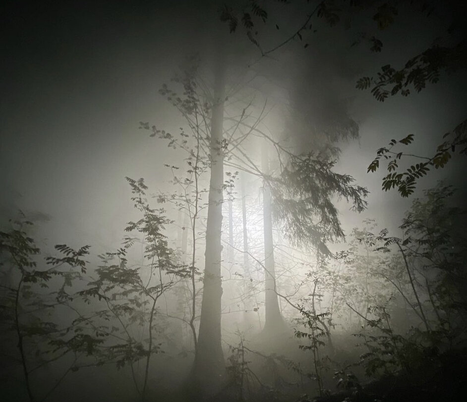 Фото И. Охлобыстин.