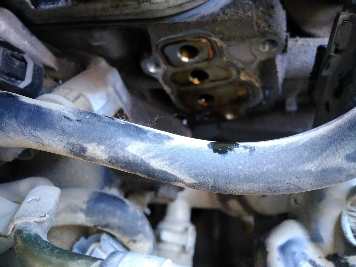 А причина кроется чуть дальше, это клапан VTEC, с годами и пробегом прокладка  приходит в негодность дубеет трескается и течет. Конечно очень много дубликата, дешевых заменителей, но рекомендую резиновые уплотнения зон ответственности устанавливать только оригинал.
Также был заменен ГРМ 
