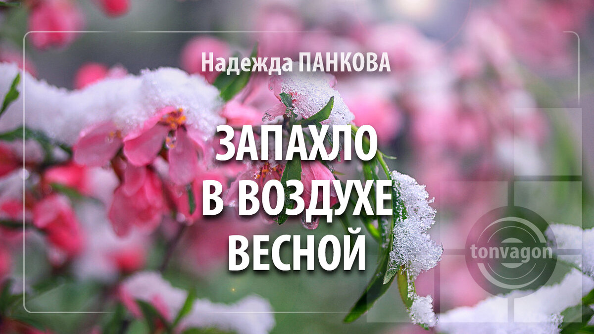 Песня пахнет в воздухе весною и цветами. ЧЕЛЛЕНДЖ Весеннее настроение. 10 Дней до весны.