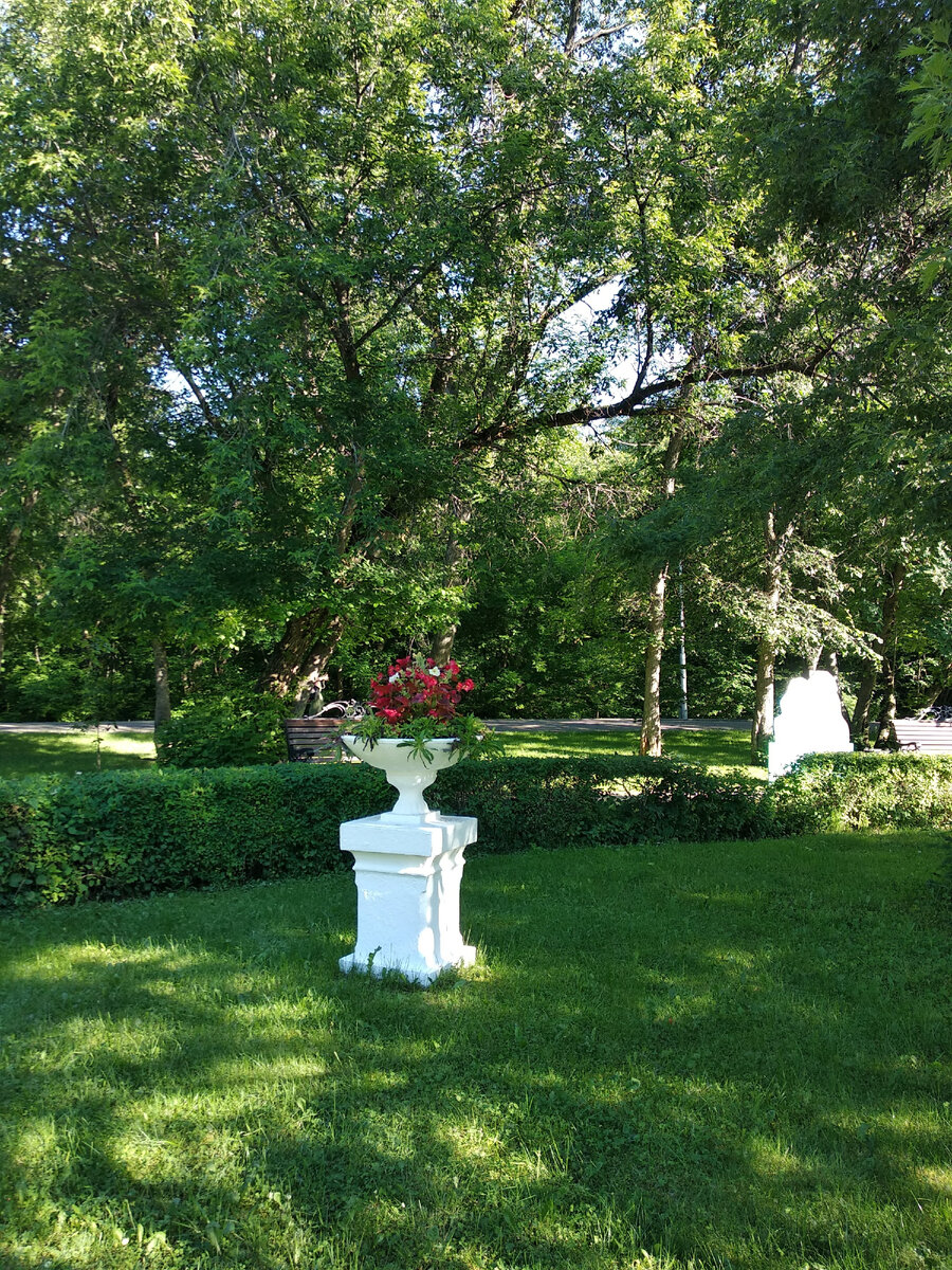 Университетская роща, фото из личного архива