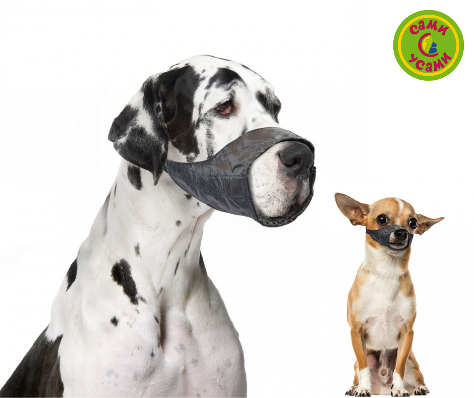 DUVO+ Намордник для собак "Dog Muzzle", черный