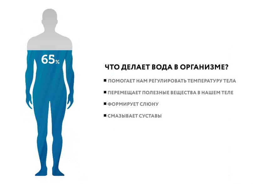 Проект содержание воды в организме человека