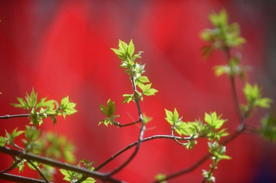 | Фото: Сергей Елесин, ИА "Тюменская линия"