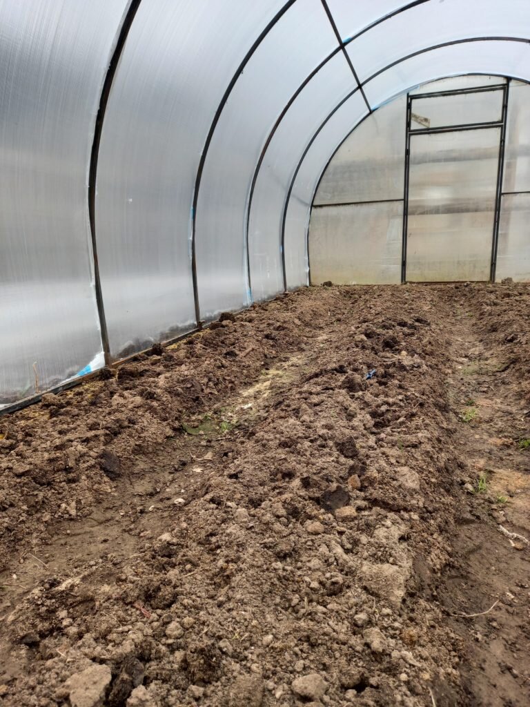 Подготовка теплицы