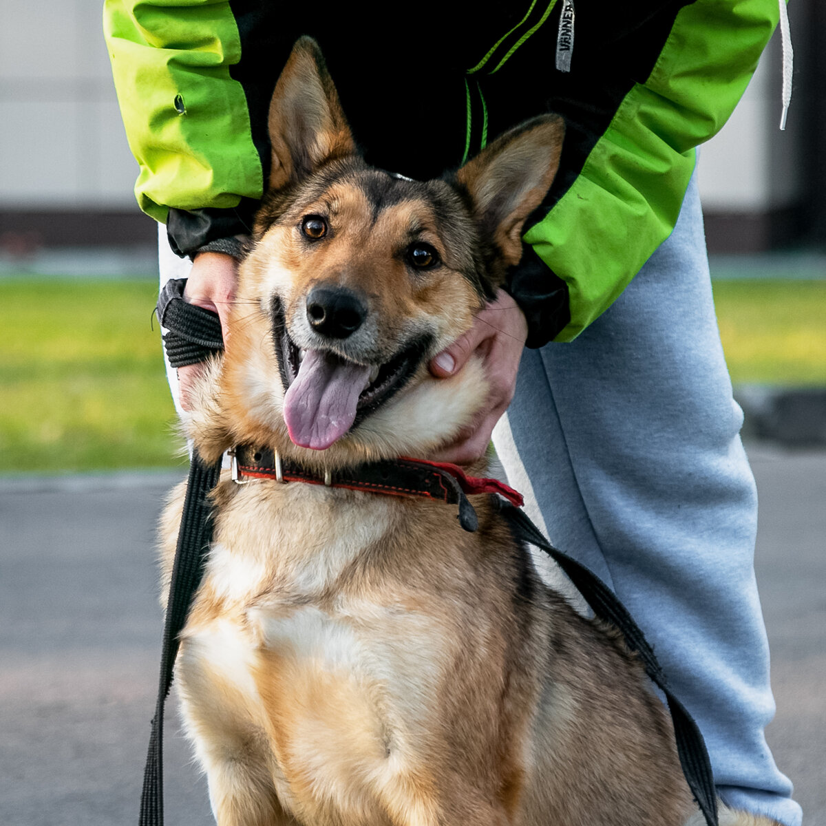 Наша прекрасная Ириска!