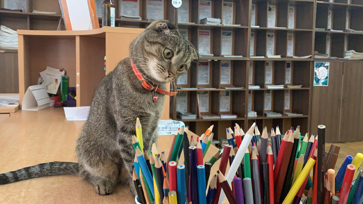 Фото: Центральная библиотека Инты