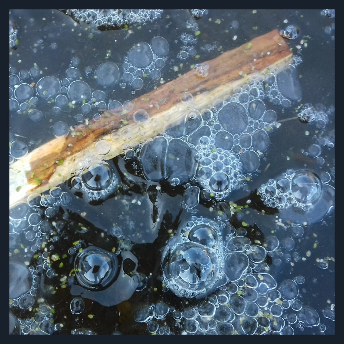 Я в каждом мгновении.