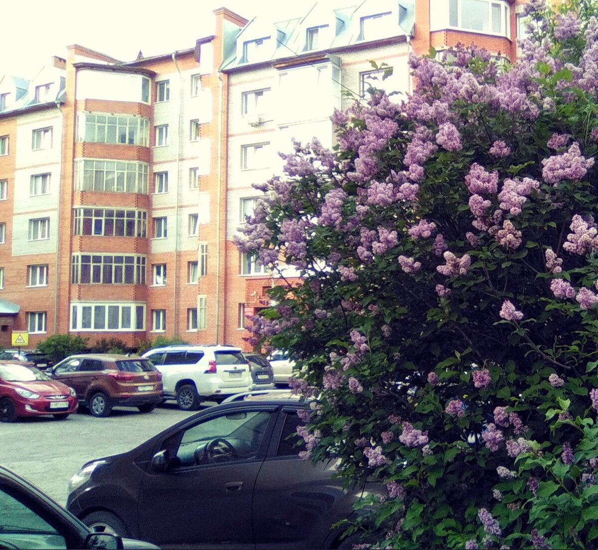 фото автора 