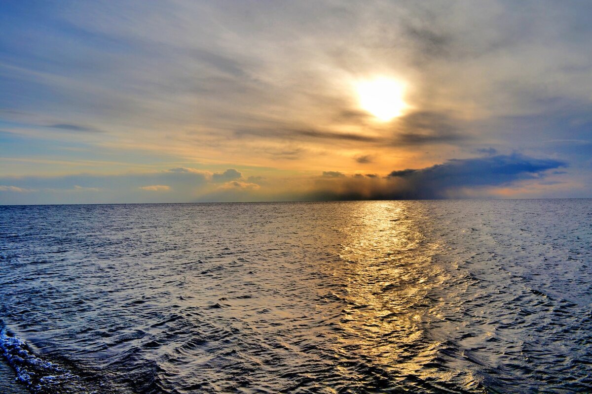 Листайте фотогалерею.

