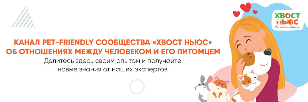 Что чувствует ваша собака, когда вы оставляете ее дома одну? Рассказывает специалист по поведению животных Нина Дарсия. Умеют ли собаки скучать? Представьте ситуацию: ребенок ждет маму с работы.