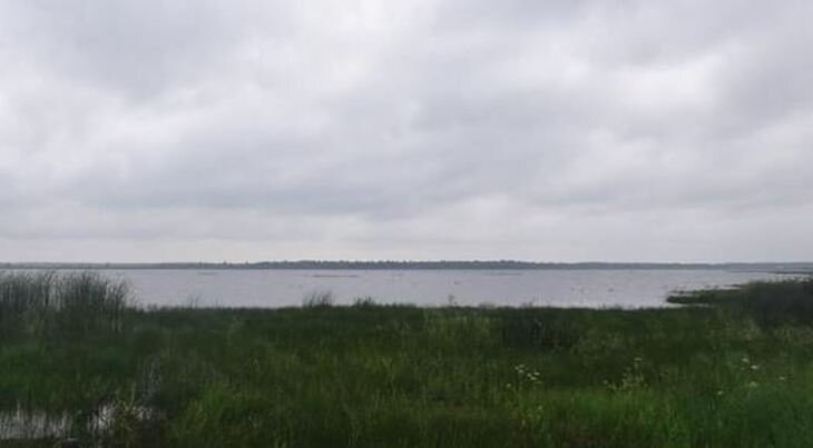    Сезонные особенности возникновения инвазионных болезней рыб