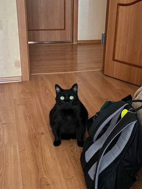 Фото: Серёга Север