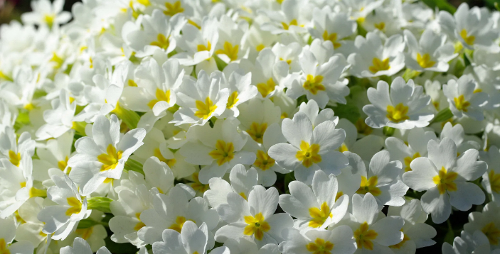 Фото из открытого доступа