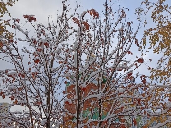     Архив "МК в Оренбурге"