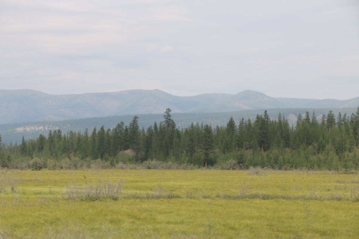 Якутия поле. Пейзажи вечной мерзлоты Красноярский край.