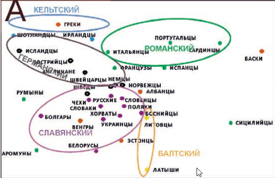 Рис.1. Структура генофонда Европы по митохондриальной ДНК (Балановский, 2015)
