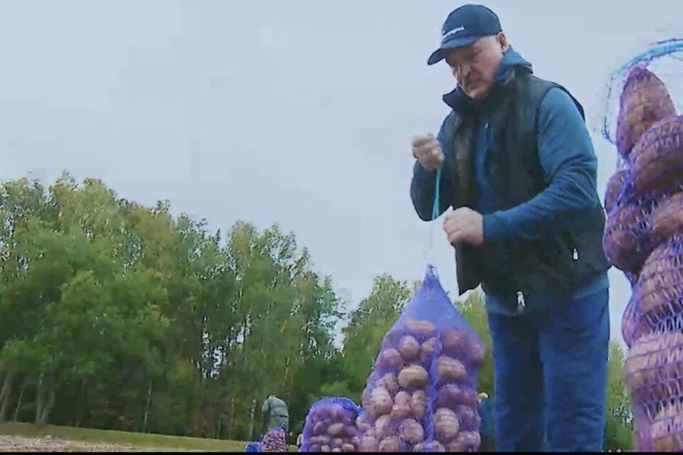     Лукашенко стал героем клипа на песню «Бульба-дэнс». Фото: скриншот с фрагмента видео, опубликованного в телеграм-канале «Пул Первого»