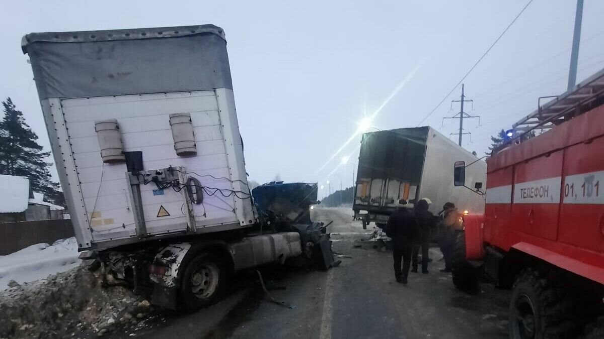     Два грузовика с полуприцепами столкнулись сегодня, 31 января, в половине пятого вечера в Завьяловском районе Удмуртии. Пострадал 43-летний водитель одной из фур, который госпитализирован с травмами.