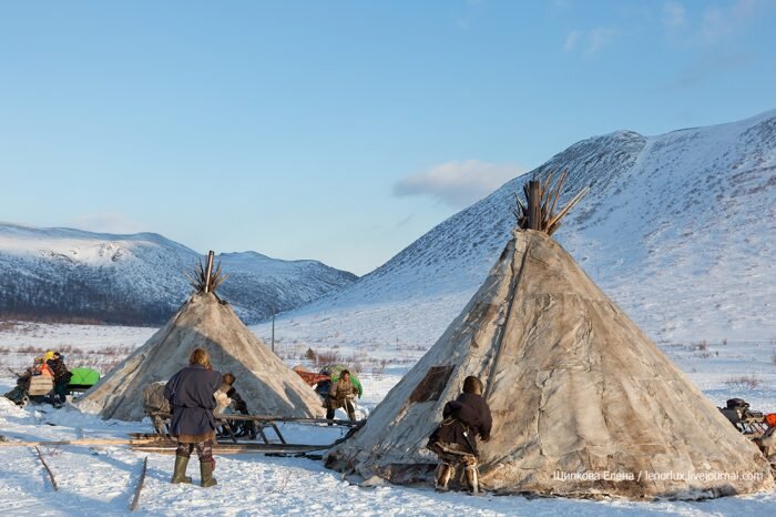Яндекс.Картинки.