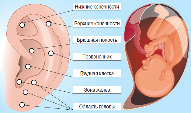 Активные точки