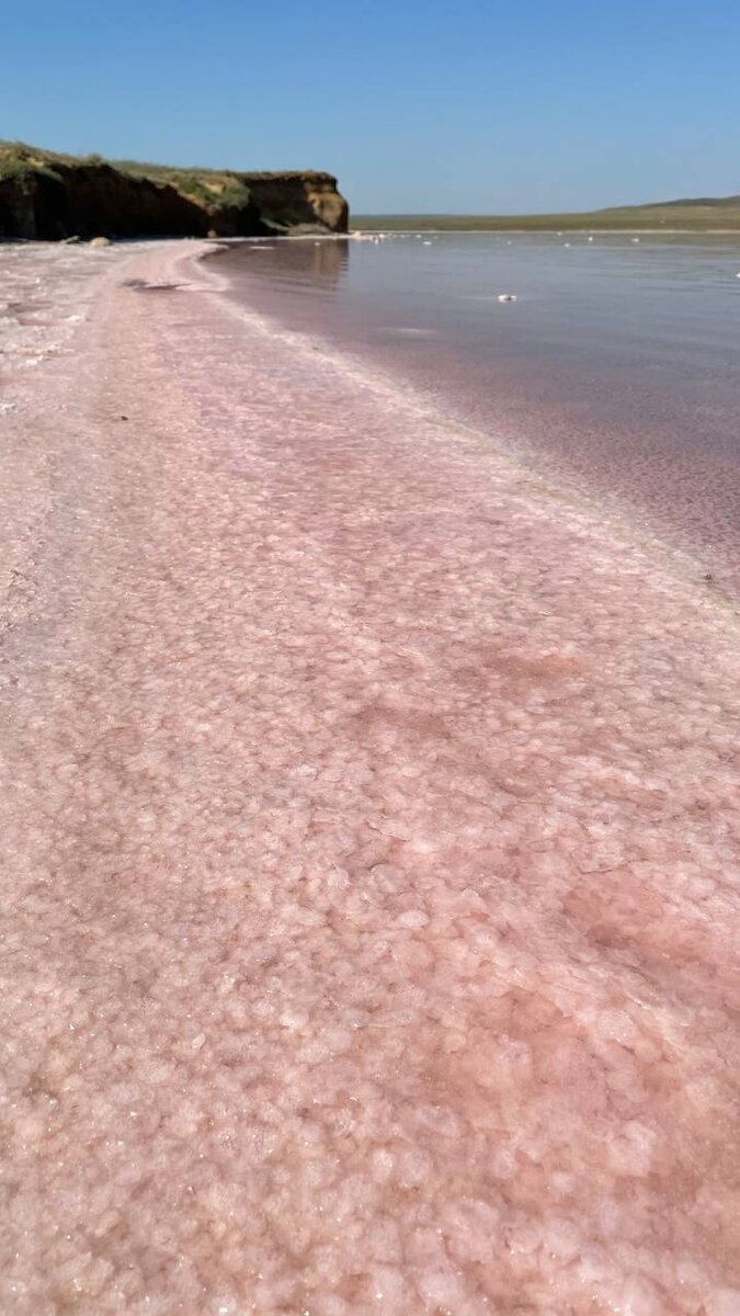 Лето 2021 года. Озеро было нежно розовое.