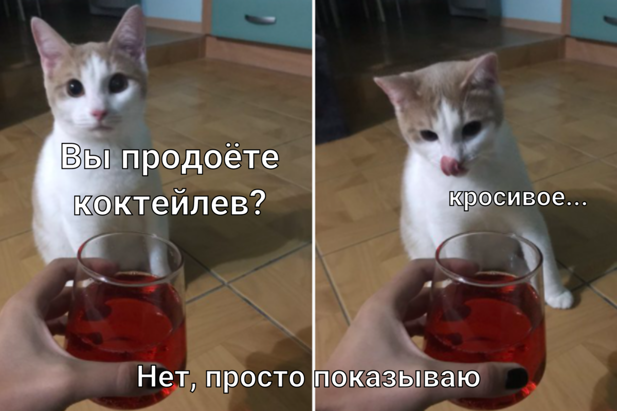 Покажи простую. Мем про Рыбов. Мемы красивое с котами. Котики и рыбы Мем. Коты и рыба Мем.