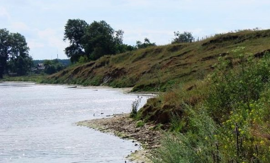 Рыбные озера курганской области