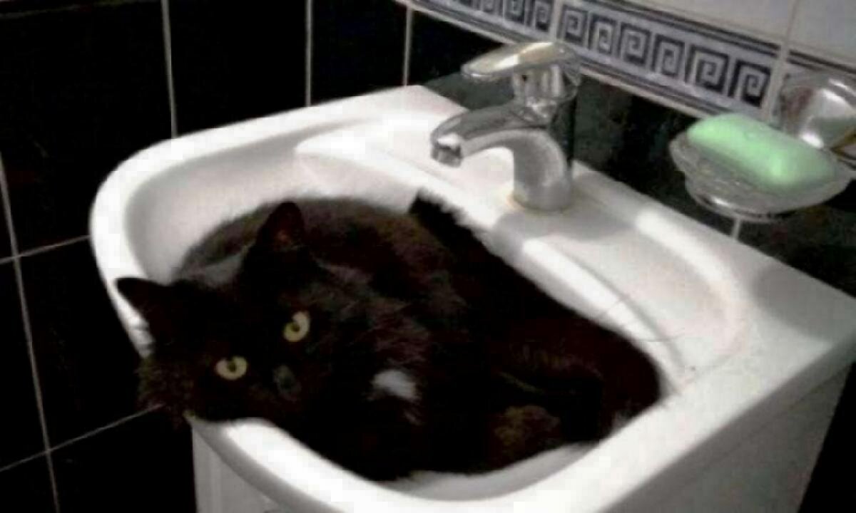    В Волжском районе Саратова 2 поселка останутся без воды на суткиНовости Саратова и области – Сетевое издание «Репортер64»