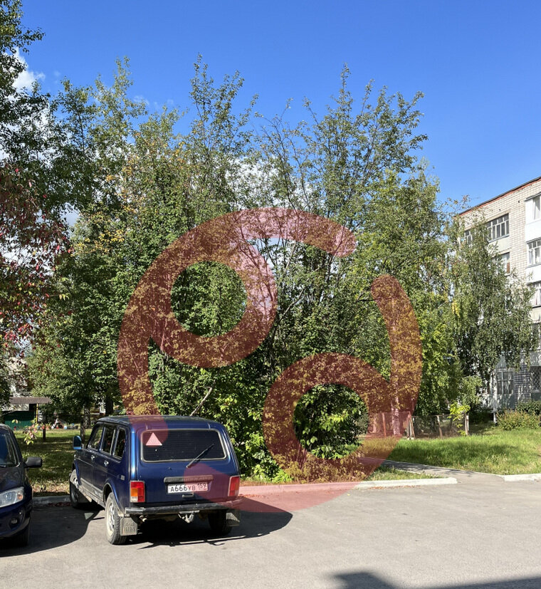    Житель Прикамья прикрепил фото кустарника, мешающего автомобилистам, но не указал, где именно он находится