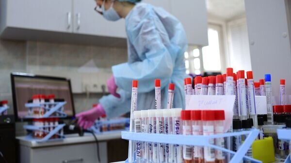    © Sputnik / Алексей Майшев