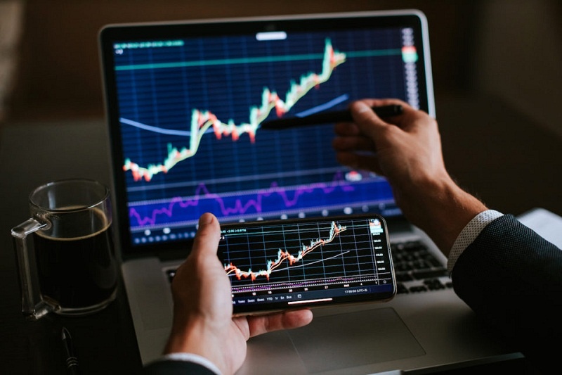 Из общего доступа. Сайт - zhukiphoto.ru 