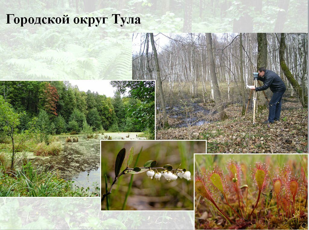 Студенты изучают уникальные экосистемы ненарушенной тайги. Какие болота опасные и глубокие в Красноярском крае.