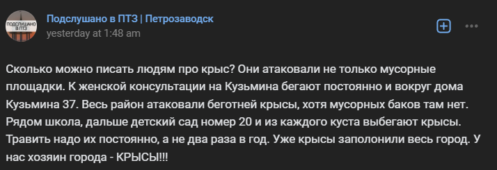    Район Голиковка в Петрозаводске атаковали крысы кадр видео из сообщества "Подслушано в Петрозаводске" во ВКонтакте