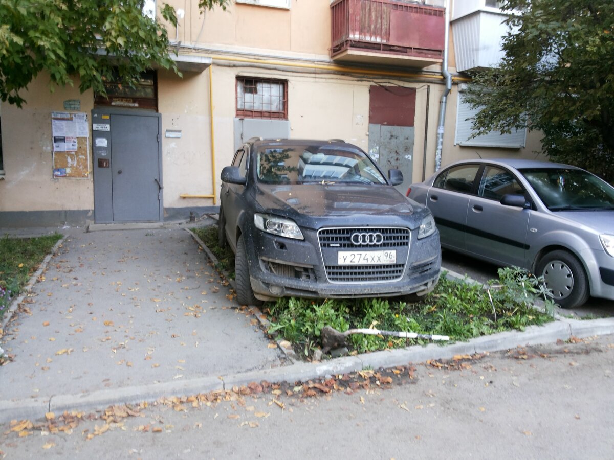 Фотография взята из открытых источников. 