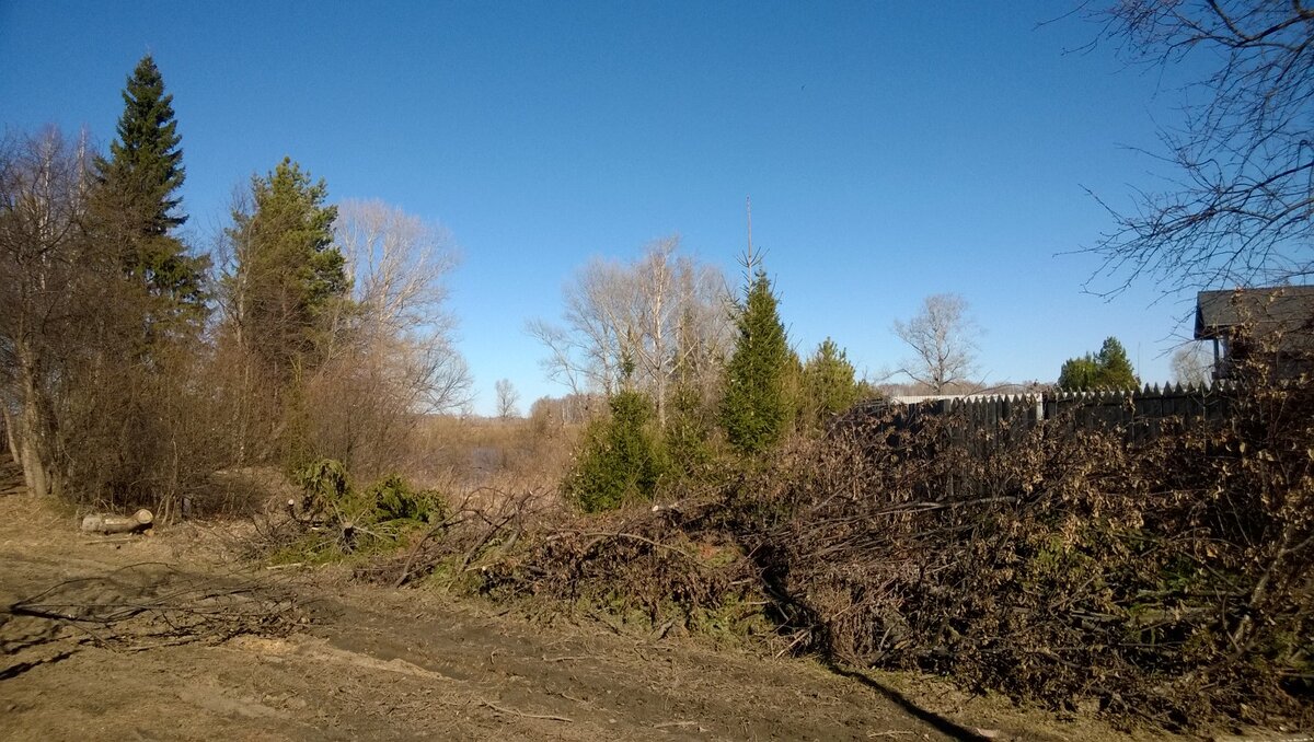 Вид из моего окна