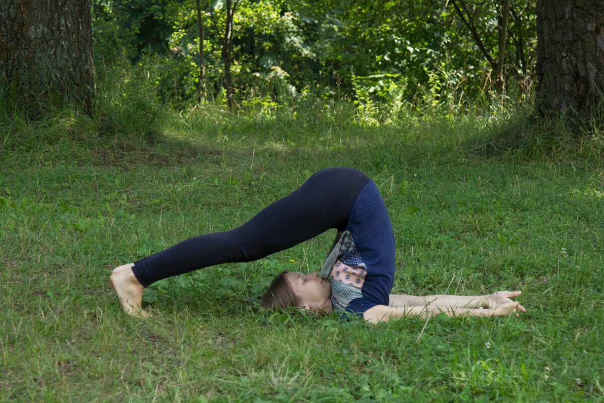 халасана - поза плуга. Не описывается в хатха-йога прадипике и гхеранда-самхите
