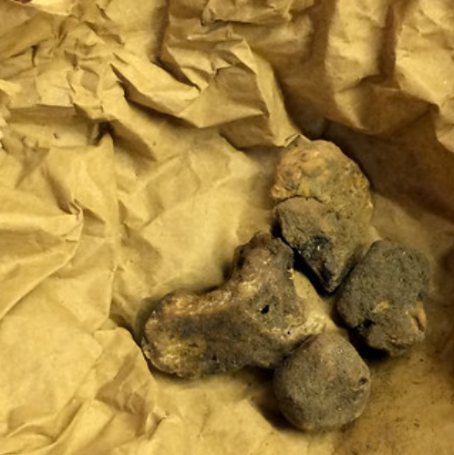 Natalia Zakhartseva - фото