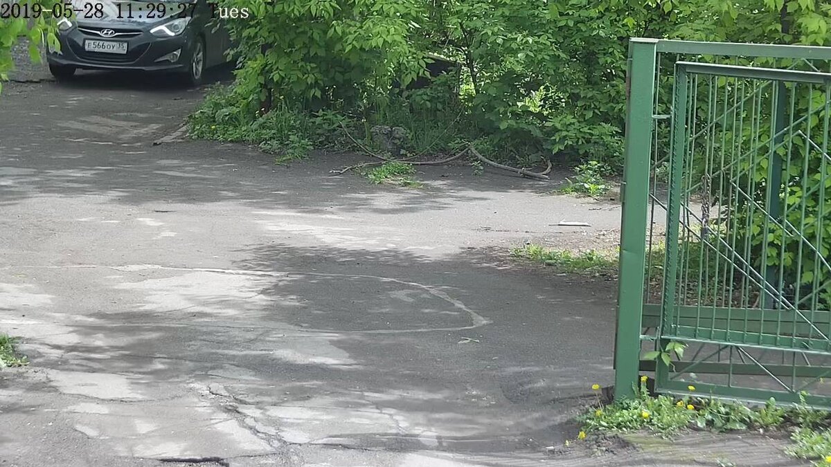 Размер номера на стоп-кадре 18px - 66px