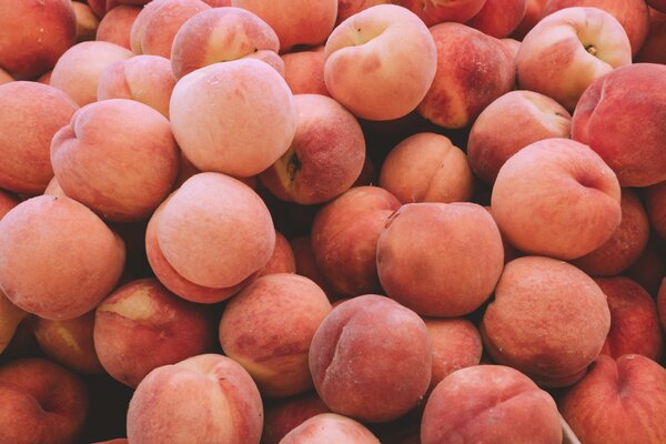 Польза персиков: 5 фактов о вкусном фрукте