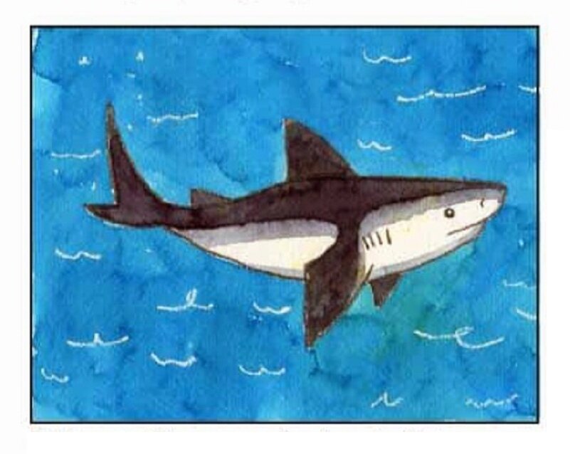   С помощью этого поэтапного урока вы легко сможете нарисовать акулу в мультяшном стиле, а также поможете и своему ребёнку её изобразить.