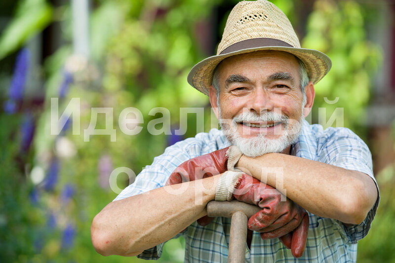 Огородники. Иллюстрация для статьи используется по стандартной лицензии ©Идеальный огород