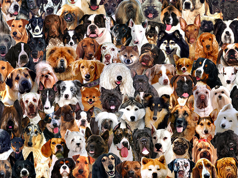 Задание № 1.