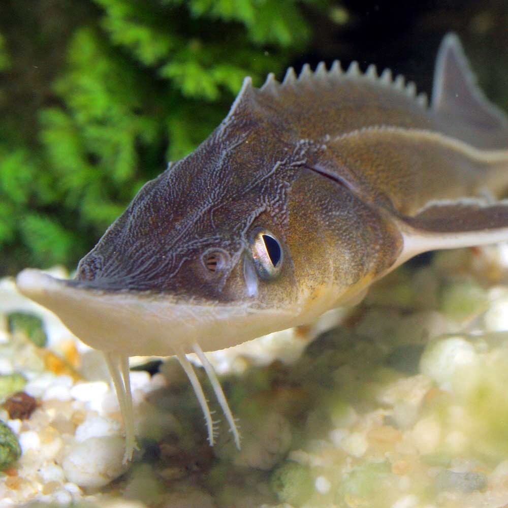 Фото взято из открытых источников в интернете