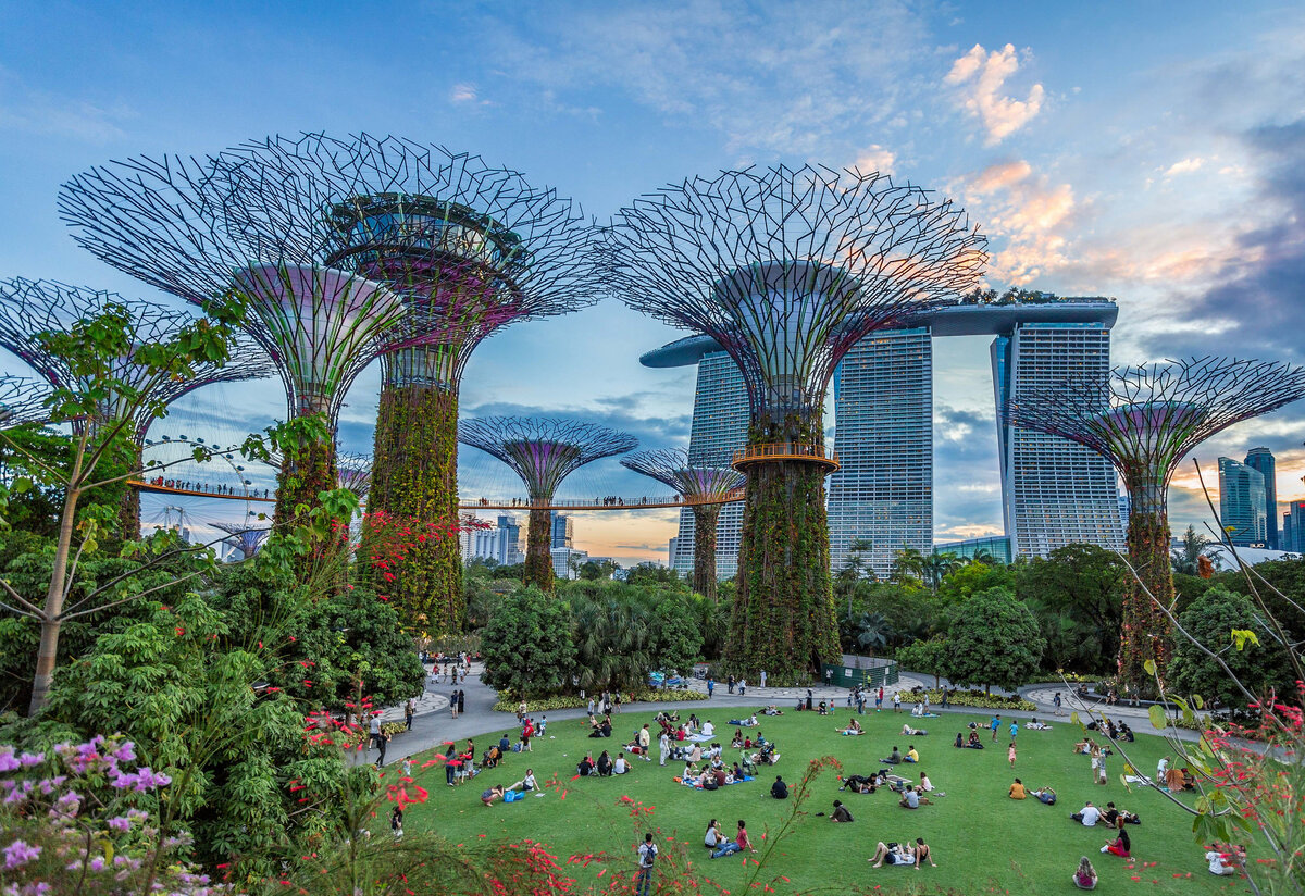 Сады у залива (Gardens by the Bay)