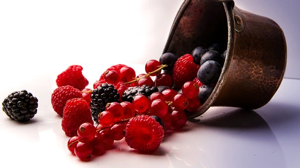 https://cdn.pixabay.com/photo/2017/12/14/18/14/berries-3019495__340.jpg