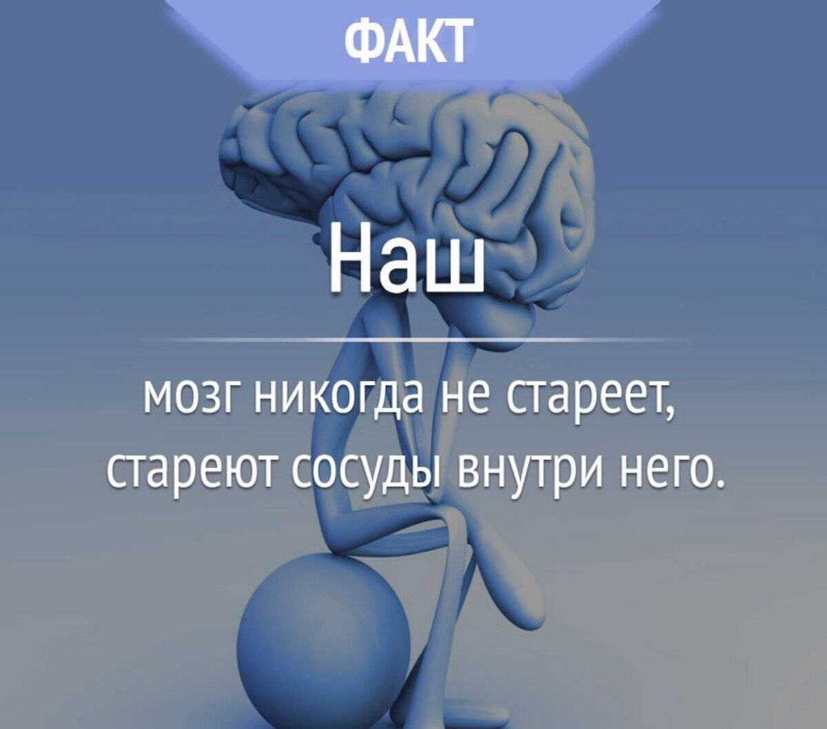 Мозг запоминает звуки лучше чем картинки правда или ложь